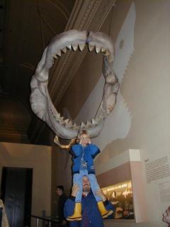 Huge shark jaws<br>Location: <a href="https://www.google.com/maps/search/?api=1&query=38.89096,-77.02601" target="_new">Smithsonian National Museum of Natural History</a>
